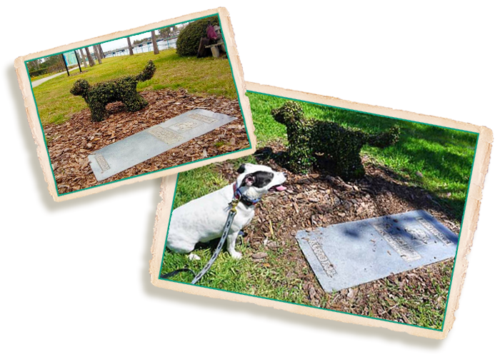 DDA_WebsiteInsets_Brownie Grave of Brownie, The Town Dog of Daytona Beach
